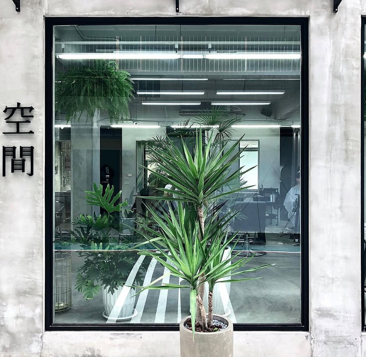 2019 space h. 店面「空間」櫥窗